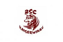15.-BSV-Iseltal-Turnier-